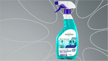 СРЕДТСВО ЗА СТАКЛО 750ml